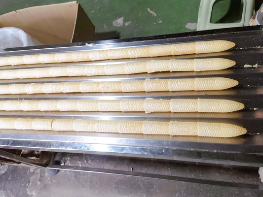 Un buen precio. Sugar Cone Making Machine automático bicolor 7000pcs/H en línea